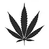 cannabis-leaf-black-on-white-background-free-vector.webp